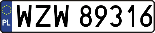 WZW89316