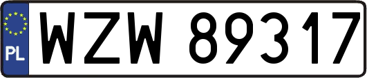WZW89317