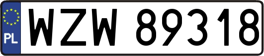 WZW89318
