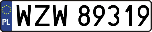 WZW89319