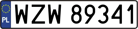 WZW89341