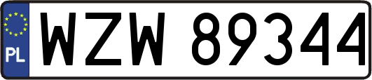 WZW89344