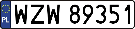 WZW89351