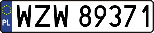 WZW89371