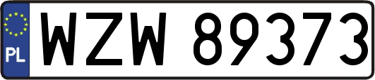 WZW89373