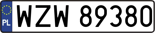 WZW89380
