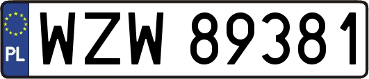 WZW89381