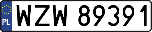 WZW89391
