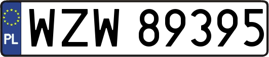 WZW89395