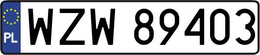 WZW89403