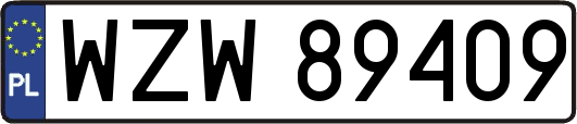 WZW89409