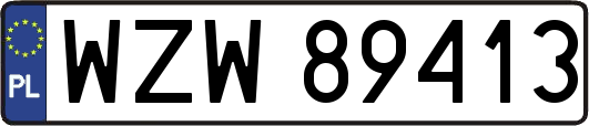 WZW89413
