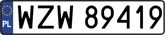 WZW89419