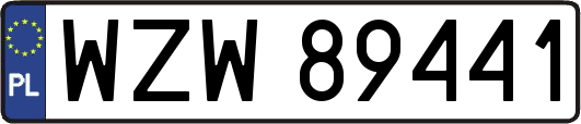 WZW89441