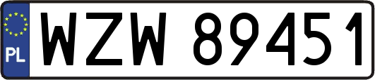 WZW89451