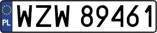 WZW89461