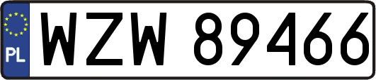 WZW89466