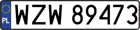 WZW89473
