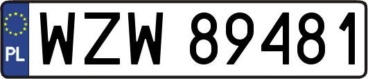 WZW89481
