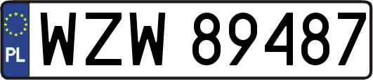 WZW89487