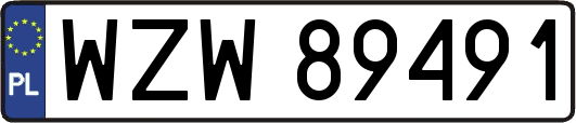 WZW89491