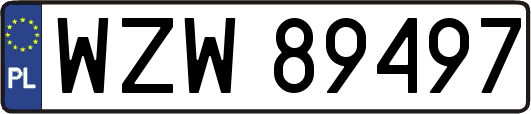 WZW89497