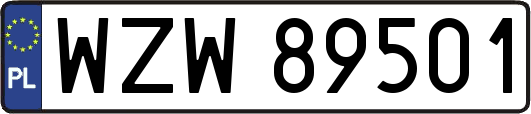 WZW89501
