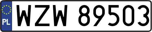 WZW89503