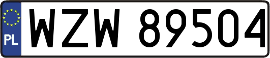 WZW89504