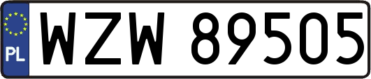 WZW89505