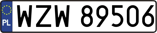 WZW89506