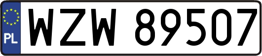 WZW89507