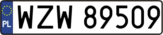 WZW89509