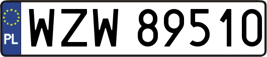 WZW89510