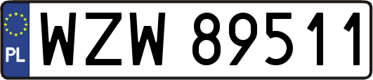 WZW89511