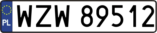 WZW89512