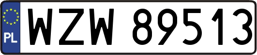 WZW89513