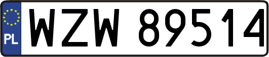 WZW89514