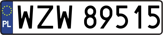WZW89515