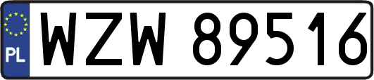 WZW89516