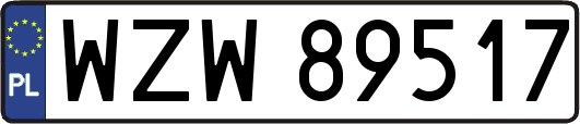 WZW89517