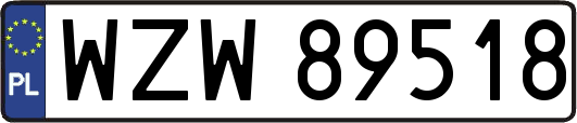 WZW89518