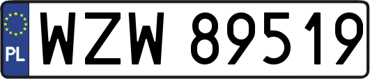 WZW89519