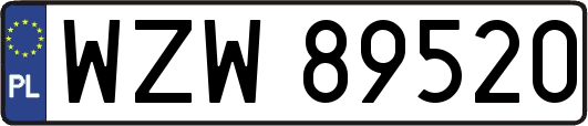 WZW89520
