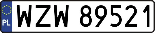WZW89521