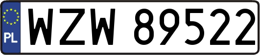 WZW89522