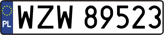 WZW89523
