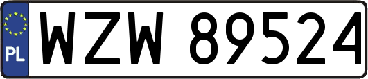 WZW89524