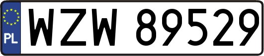 WZW89529