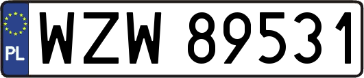 WZW89531